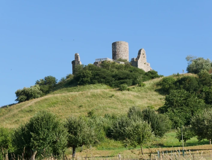 Burgruine Desenberg thront auf einem Hügel, umgeben von grünen Wiesen und vereinzelt stehenden Bäumen.