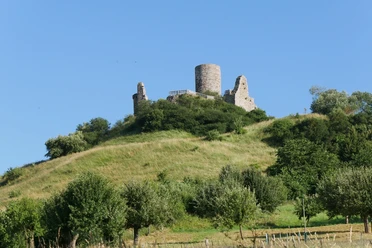 Burgruine Desenberg Burgruine Desenberg thront auf einem Hügel, umgeben von grünen Wiesen und vereinzelt stehenden Bäumen.