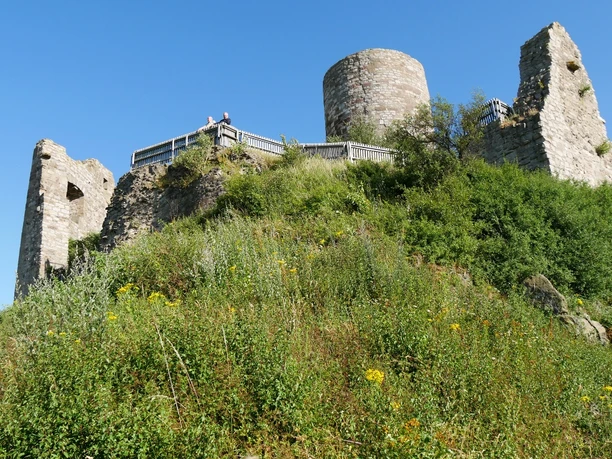 Burgruine Desenberg Ruine der historischen Desenberg Burg mit Bewuchs und klarem Himmel im Hintergrund.