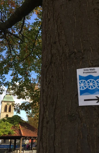 Qualitätsweg Ems-Wall-Promenade: Markierung am Emssee Schild der Ems-Wall-Promenade an einem Baum, im Hintergrund eine Kirchturmspitze und bunte Herbstbäume.