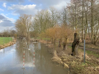 Überschwemmter Weg im ländlichen Waldgebiet mit kahlen Bäumen und wolkigem Himmel im Hintergrund.