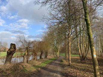 Ein schmaler, von Bäumen gesäumter Pfad führt an einem ruhigen Fluss entlang unter einem blauen Himmel.