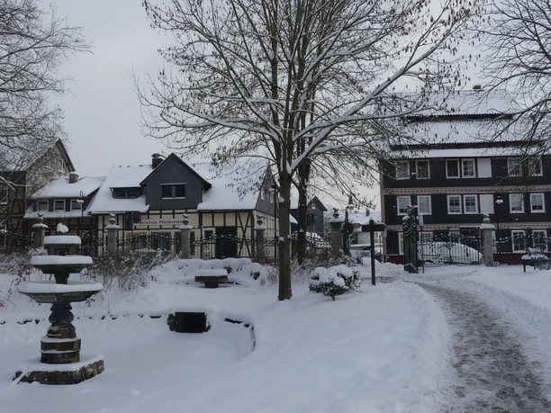 Stiftsgarten_Sicht in Richtung Ostertor stiftsgarten-sicht-in-richtung-ostertor