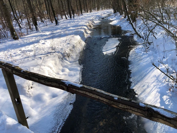 Besneeuwde beek stroomt door een winters bos met brugleuningen op de voorgrond van de foto.