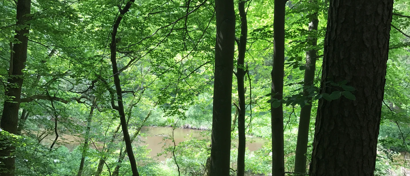 Sängershöh Bad Bevensen Sängershöh Bad Bevensen