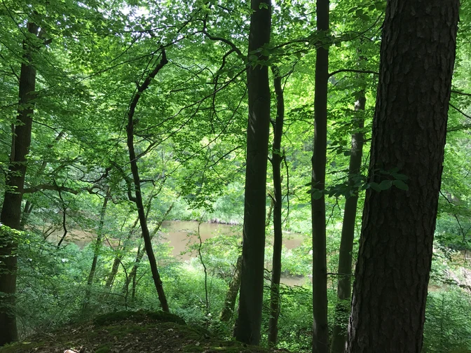 Sängershöh Bad Bevensen Sängershöh Bad Bevensen