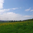 Panorama vom Mühlenweg <p>Grüne Wiese mit gelben Löwenzahnblüten unter blauem Himmel, von Wald und Hügeln umgeben.</p>