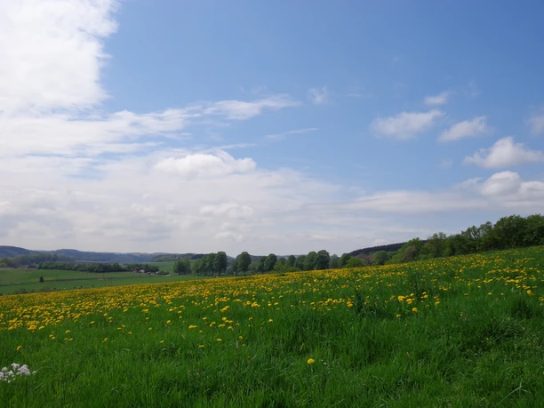 Panorama vom Mühlenweg <p>Grüne Wiese mit gelben Löwenzahnblüten unter blauem Himmel, von Wald und Hügeln umgeben.</p>