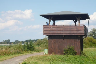Aussichtsturm am Dümmer-See
