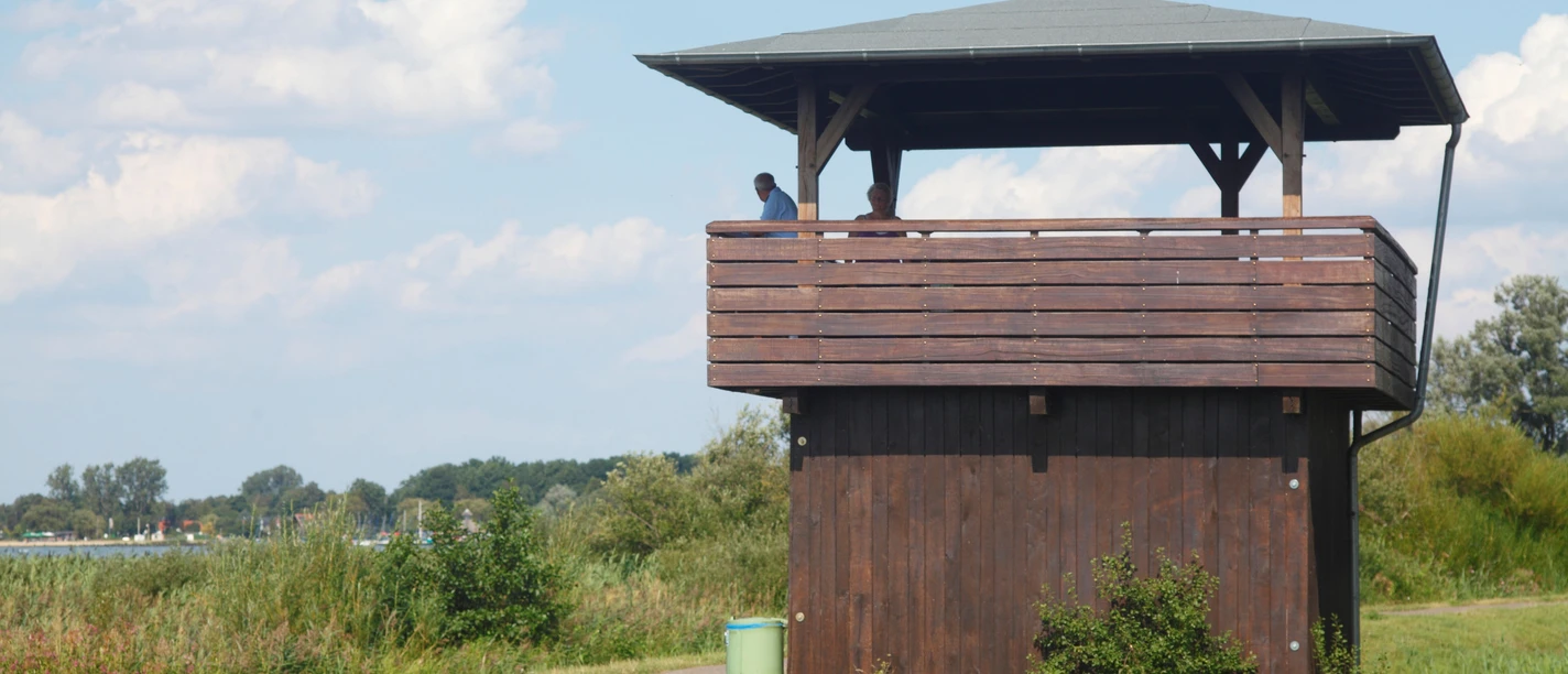 Aussichtsturm am Dümmer-See