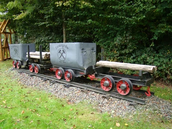 Lore auf Gleisen im Freien, mit Holz beladen, vor einem Wald auf grasbewachsenem Boden.