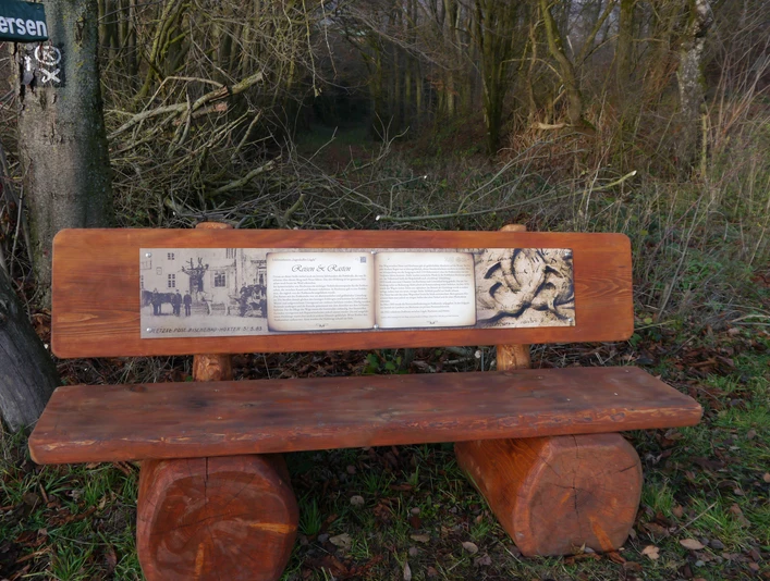 Holzbank mit Schautafel entlang eines bewaldeten Weges, umgeben von kahlen Bäumen im Winter.