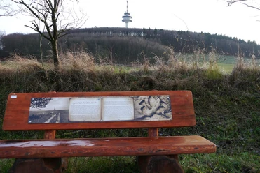 Holzbank im Grünen mit Infotafel, im Hintergrund bewaldeter Hügel und Sendeturm unter bewölktem Himmel.