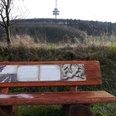 Holzbank im Grünen mit Infotafel, im Hintergrund bewaldeter Hügel und Sendeturm unter bewölktem Himmel.
