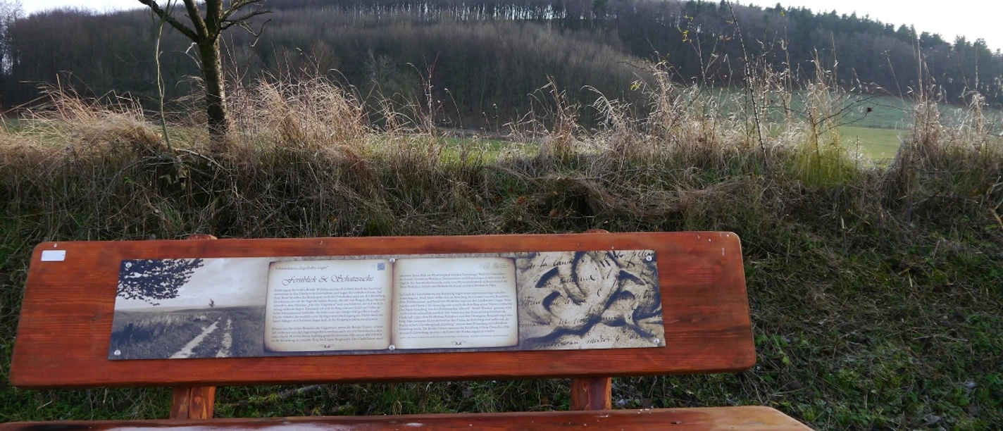 Holzbank im Grünen mit Infotafel, im Hintergrund bewaldeter Hügel und Sendeturm unter bewölktem Himmel.