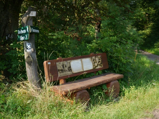 Holzbank neben einem Wegweiser auf einer Wiese, umgeben von Bäumen und dichtem Grün.