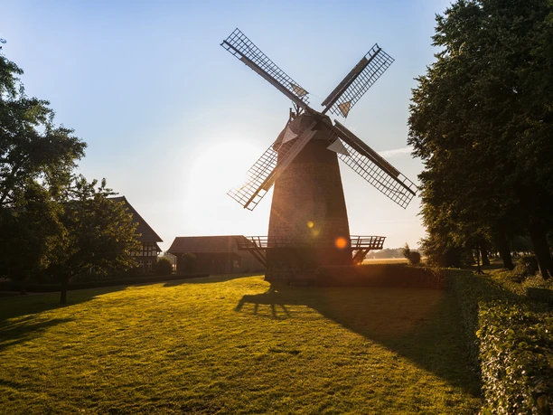 Lübbecke Windmühle Eilhausen bei Sonnenuntergang, umgeben von grüner Wiese und Bäumen.