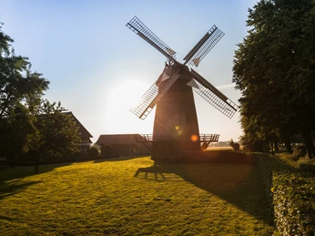 Lübbecke Windmühle Eilhausen Lübbecke Windmühle Eilhausen bei Sonnenuntergang, umgeben von grüner Wiese und Bäumen.