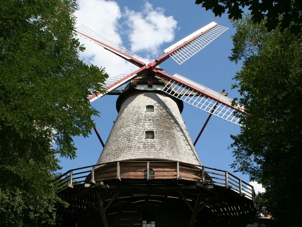 Mühle Eystrup Historic windmill Eystrup, surrounded by trees, with red wings, in front of a clear blue sky.