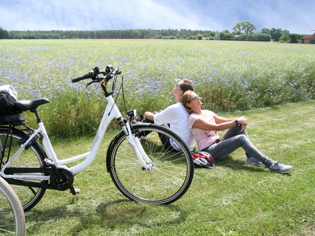 Radler Mittelweser Zwei Radfahrer entspannen auf einer grünen Wiese neben einem mit Kornblumen gesäumten Feld.