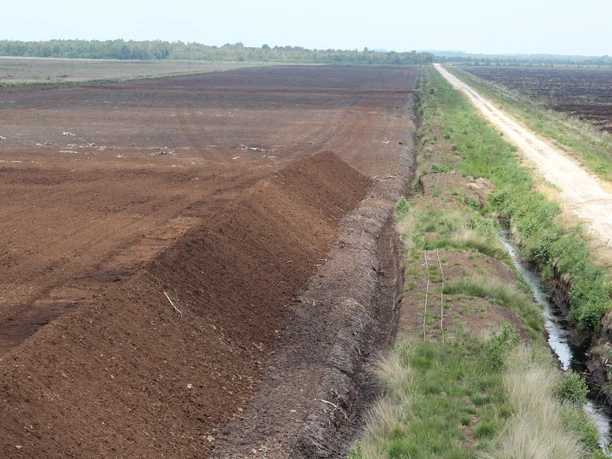 Uchter Moor Weitläufige Moorlandschaft mit Torfabbaustraßen, linearen Entwässerungsgräben und grüner Vegetation.