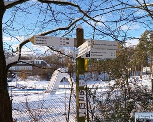 WP Kalkofen_Zielwegweiser Ein verschneiter Waldweg mit Wegweisern in verschiedene Richtungen, umgeben von Bäumen.