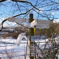 WP Kalkofen_Zielwegweiser Ein verschneiter Waldweg mit Wegweisern in verschiedene Richtungen, umgeben von Bäumen.