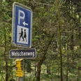 Wanderparkplatz Welschenweg Hinweisschilder kennzeichnen den Wanderparkplatz Welschenweg im Wald, umgeben von Bäumen und Natur.