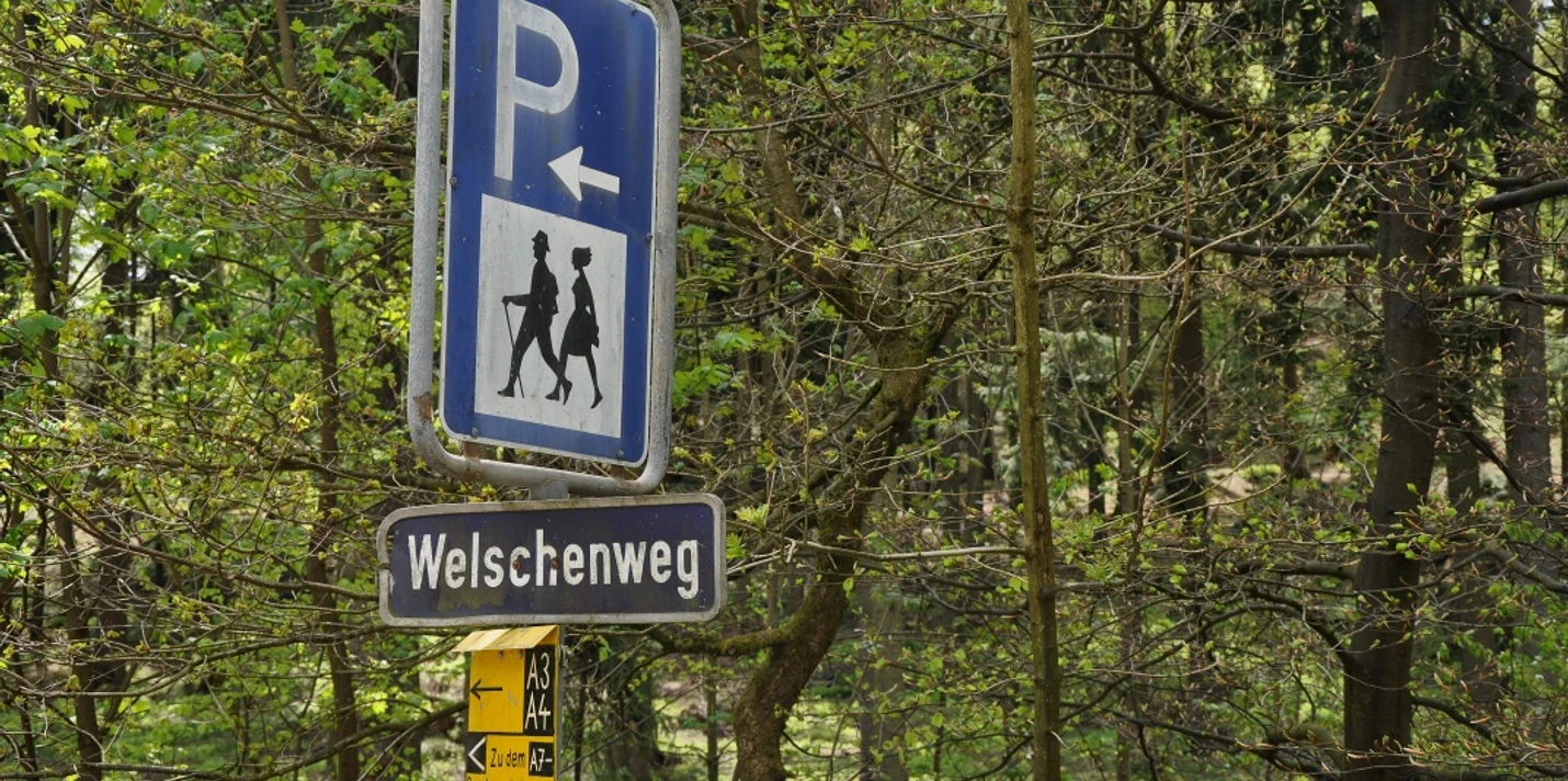Wanderparkplatz Welschenweg Hinweisschilder kennzeichnen den Wanderparkplatz Welschenweg im Wald, umgeben von Bäumen und Natur.