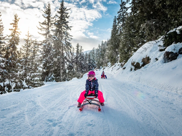 Mit dem Schlitten geht es auf der 9.9km langen Abfahrt von der Belalp nach Blatten. Mit dem Schlitten geht es auf der 9.9km langen Abfahrt von der Belalp nach Blatten.