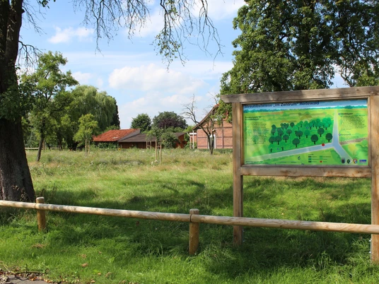 Streuobstwiese Rodewald Grüne Streuobstwiese in Rodewald mit Infotafel, Bäumen und einem Bauernhaus im Hintergrund.