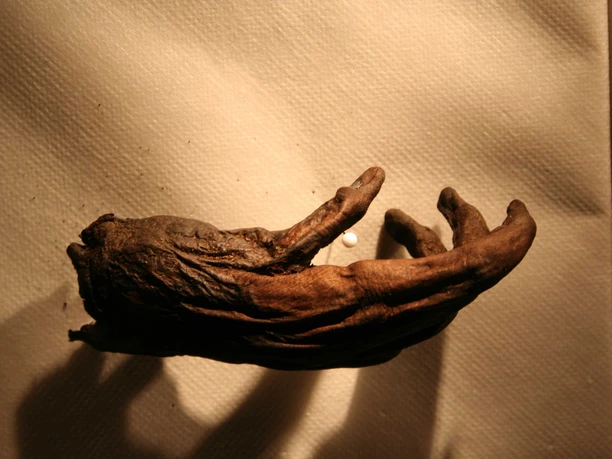 Die Hand von Moora Die Hand von Moora
