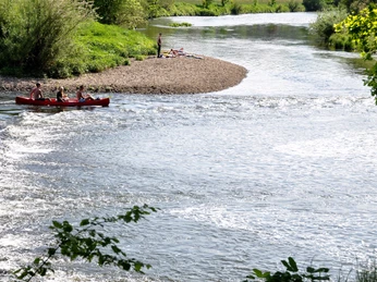 Kanufahren auf der Sieg