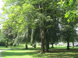 Siegpark Eitorf