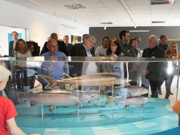 Das Wissenshaus der Wanderfische