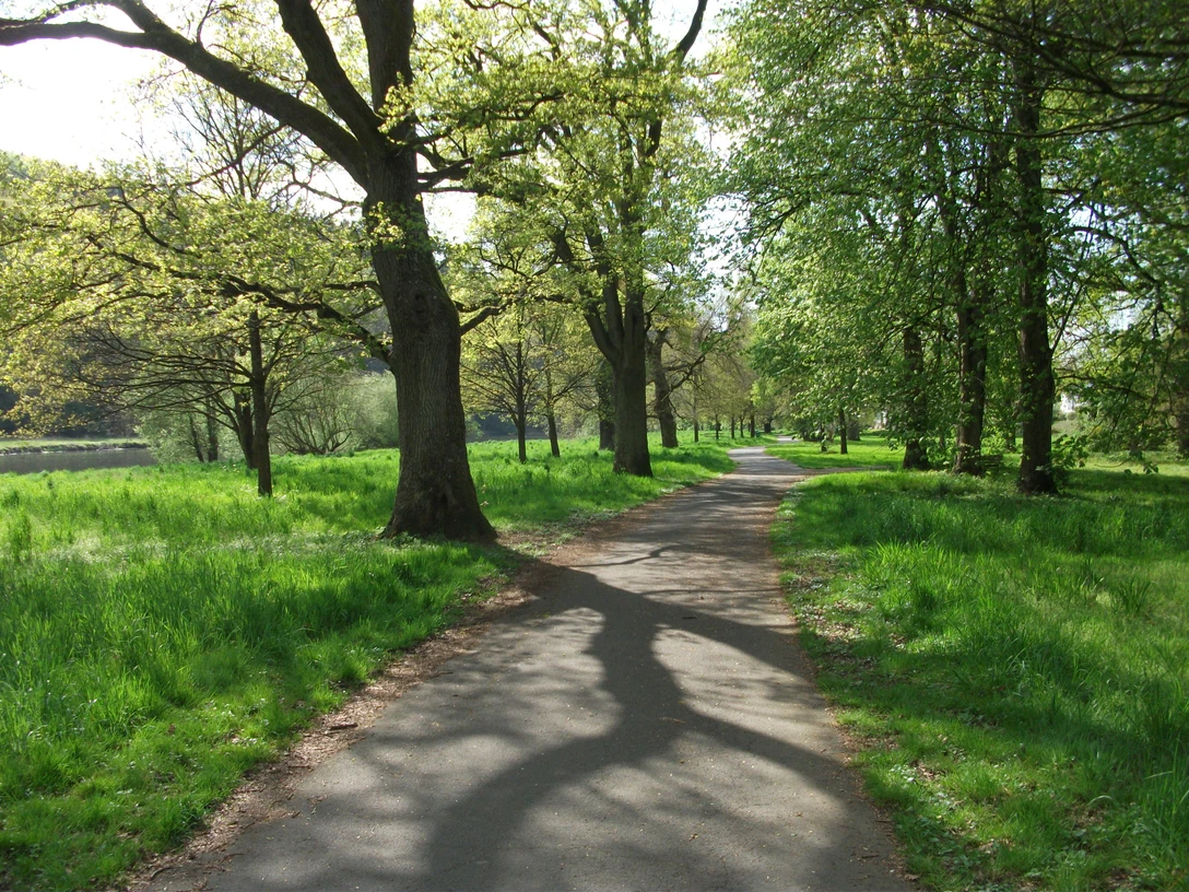 Eichenhain Stromberg Siegufer