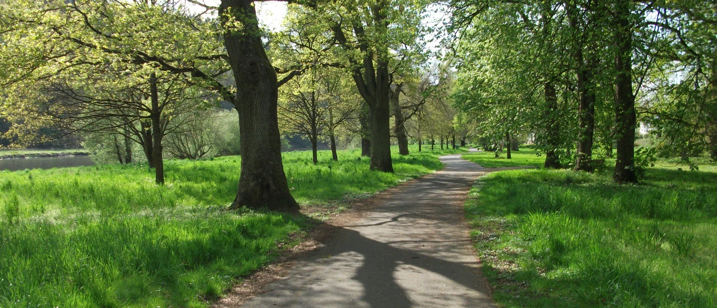 Eichenhain Stromberg Siegufer