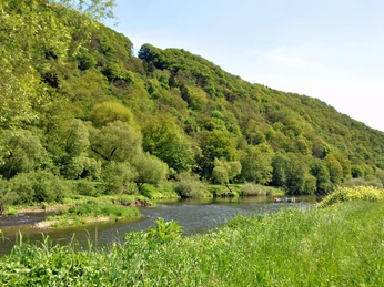 Frühling an der Sieg