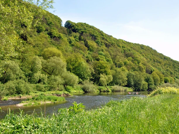 Frühling an der Sieg