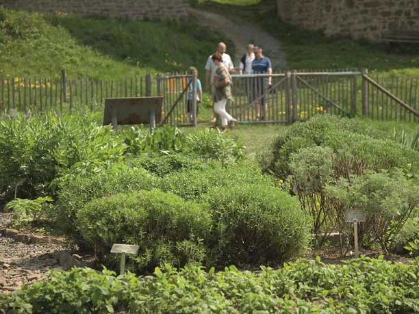 Kräutergarten Burg Blankenberg