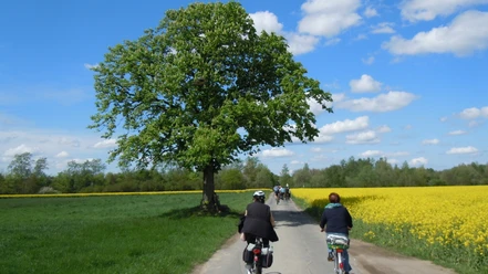 Zu jeder Jahreszeit eine schöne Radtour