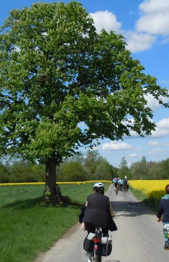 Zu jeder Jahreszeit eine schöne Radtour