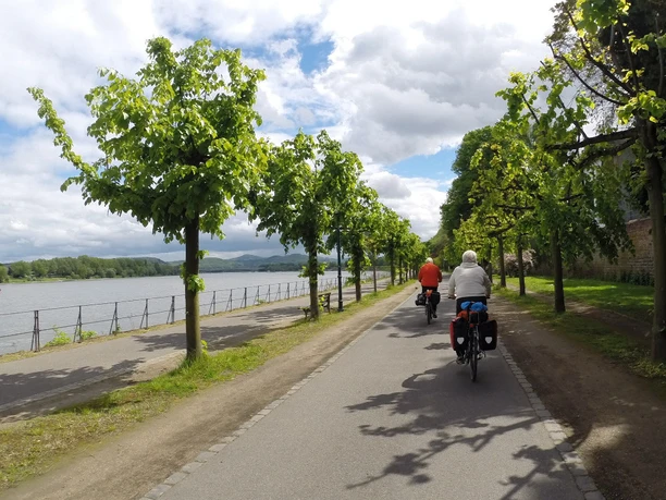 Radfahren am Rhein