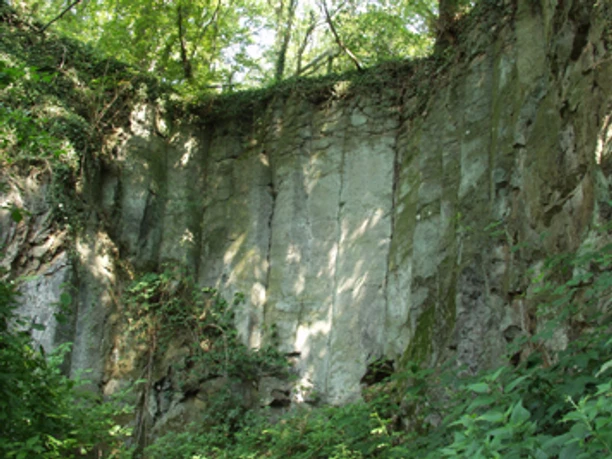 OLYMPUS DIGITAL CAMERA OLYMPUS DIGITAL CAMERA