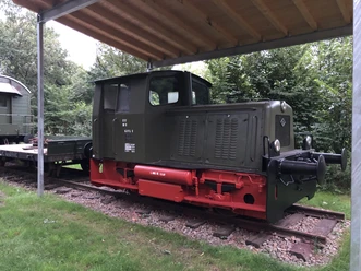Old locomotive under a canopy, surrounded by green trees and standing on rails.