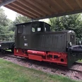 Steinhuder Meer Bahn Alte Lokomotive unter einem Schutzdach, umgeben von grünen Bäumen und auf Schienen stehend.Old locomotive under a canopy, surrounded by green trees and standing on rails.Gammelt lokomotiv under en baldakin, omgivet af grønne træer og stående på skinner.Oude locomotief onder een afdak, omringd door groene bomen en staand op rails.