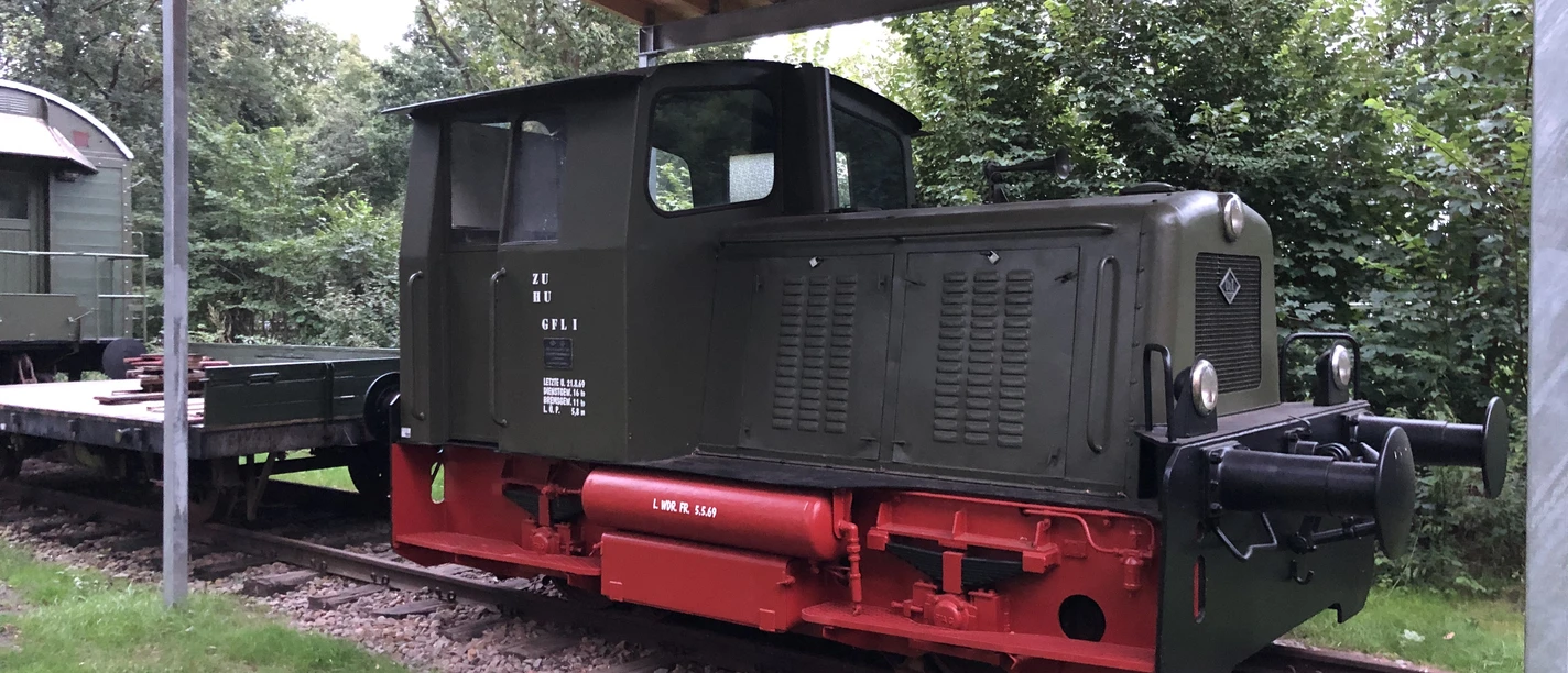 Steinhuder Meer Bahn Old locomotive under a canopy, surrounded by green trees and standing on rails.