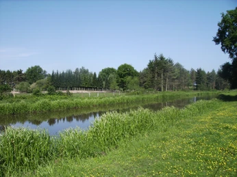 DIGITAL IMAGE DIGITAL IMAGE