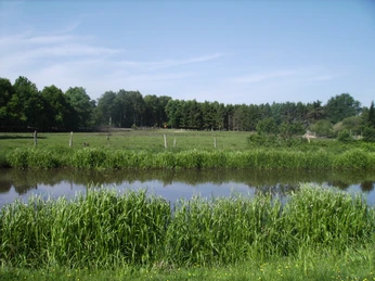 DIGITAL IMAGE DIGITAL IMAGE