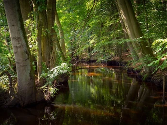 die Lutter die Lutter